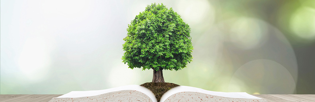 A graphic of a tree growing in a book